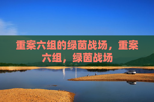 重案六组的绿茵战场，重案六组，绿茵战场