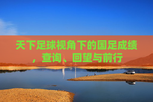 天下足球视角下的国足成绩，查询、回望与前行