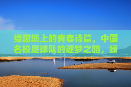 绿茵场上的青春诗篇，中国名校足球队的逐梦之路，绿茵逐梦，名校足球队的青春诗篇