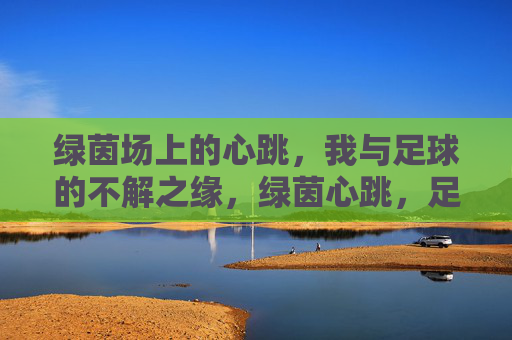 绿茵场上的心跳，我与足球的不解之缘，绿茵心跳，足球之缘