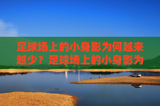 足球场上的小身影为何越来越少？足球场上的小身影为何越来越少？