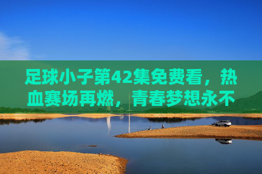 足球小子第42集免费看，热血赛场再燃，青春梦想永不落幕！足球小子第42集，热血赛场再燃，青春梦想永不落幕！