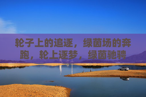 轮子上的追逐，绿茵场的奔跑，轮上逐梦，绿茵驰骋