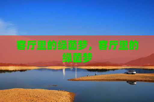 客厅里的绿茵梦，客厅里的绿茵梦