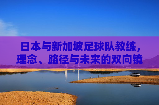 日本与新加坡足球队教练，理念、路径与未来的双向镜鉴，日新足球教练理念、路径与未来的双向镜鉴