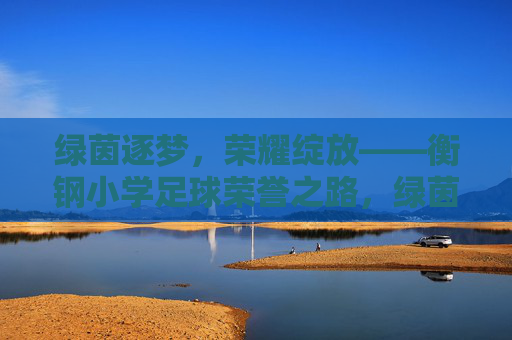 绿茵逐梦，荣耀绽放——衡钢小学足球荣誉之路，绿茵逐梦，荣耀绽放——衡钢小学足球荣誉之路