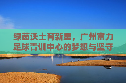 绿茵沃土育新星，广州富力足球青训中心的梦想与坚守，广州富力青训，沃土育新星，梦想与坚守