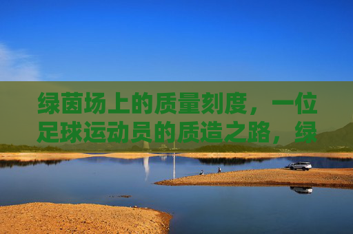 绿茵场上的质量刻度，一位足球运动员的质造之路，绿茵场上的质量刻度，足球运动员的质造之路
