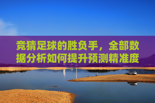 竞猜足球的胜负手，全部数据分析如何提升预测精准度，竞猜足球胜负手，数据分析提升预测精准度