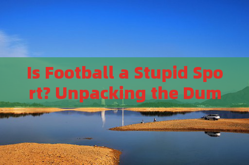 Is Football a Stupid Sport? Unpacking the Dumb Sport Narrative in English Discourse，Football and the Stupid Sport Narrative in English Discourse