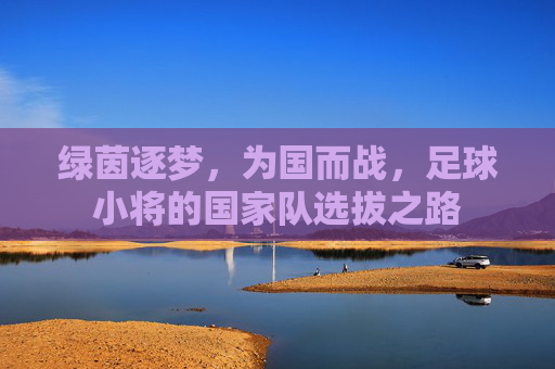 绿茵逐梦，为国而战，足球小将的国家队选拔之路