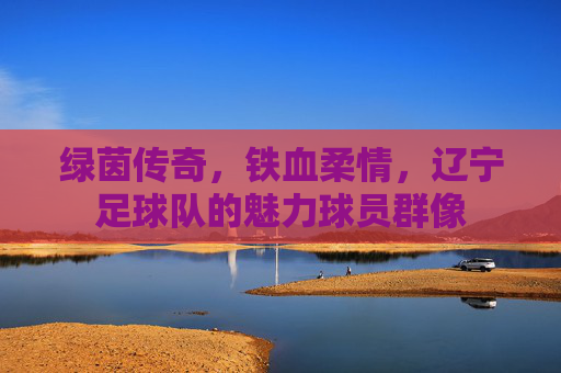 绿茵传奇，铁血柔情，辽宁足球队的魅力球员群像