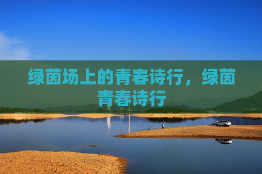 绿茵场上的青春诗行，绿茵青春诗行
