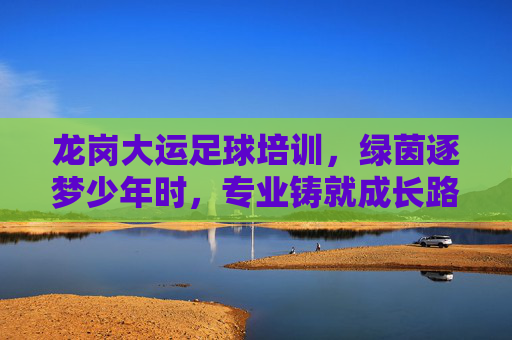 龙岗大运足球培训,绿茵逐梦少年时,专业铸就成长路,龙岗大运足球培训,绿茵逐梦少年,专业铸就成长 龙岗大运足球培训,绿茵逐梦少年时,专业铸就成长路,龙岗大运足球培训,绿茵逐梦少年,专业铸就成长