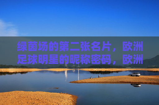 绿茵场的第二张名片，欧洲足球明星的昵称密码，欧洲足球明星的昵称，绿茵场的第二张名片