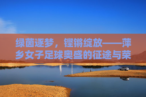 绿茵逐梦，铿锵绽放——萍乡女子足球奥盛的征途与荣光，萍乡女子足球奥盛，绿茵逐梦的铿锵荣光