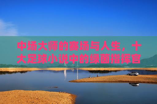 中场大师的赛场与人生，十大足球小说中的绿茵指挥官