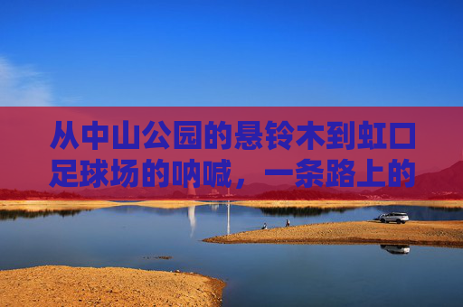 从中山公园的悬铃木到虹口足球场的呐喊，一条路上的城市双面奏，悬铃木与虹口呐喊，一条路的城市双面奏
