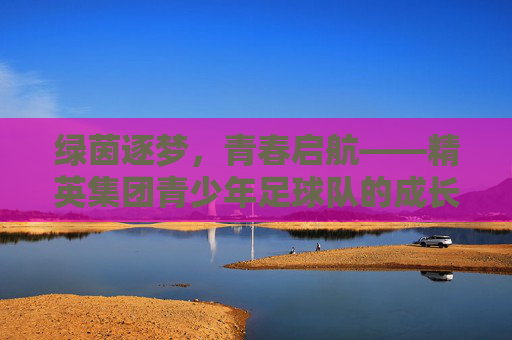 绿茵逐梦，青春启航——精英集团青少年足球队的成长与荣光，绿茵逐梦，青春启航——精英集团青少年足球队成长与荣光