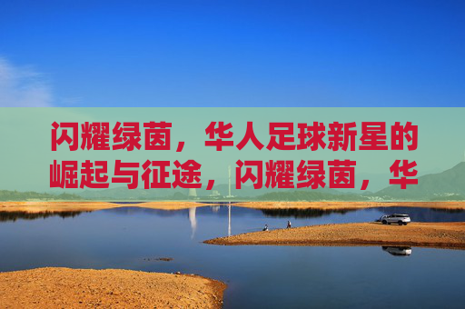 闪耀绿茵，华人足球新星的崛起与征途，闪耀绿茵，华人足球新星的崛起征途