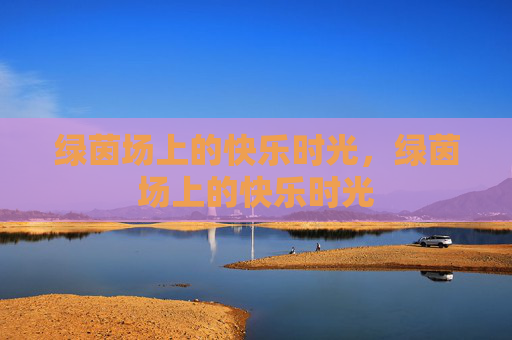 绿茵场上的快乐时光，绿茵场上的快乐时光