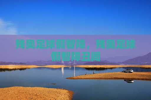 残奥足球假智障，残奥足球假智障丑闻