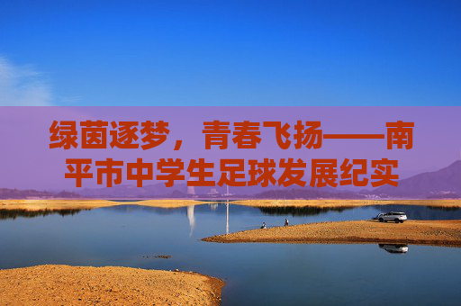 绿茵逐梦，青春飞扬——南平市中学生足球发展纪实