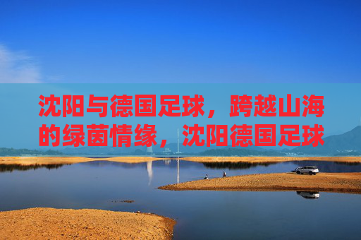 沈阳与德国足球，跨越山海的绿茵情缘，沈阳德国足球，绿茵山海情缘
