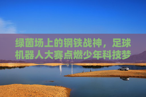 绿茵场上的钢铁战神，足球机器人大赛点燃少年科技梦