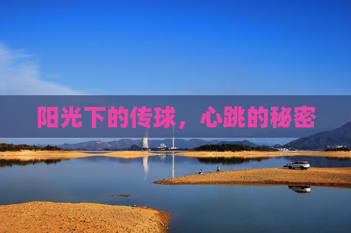 阳光下的传球，心跳的秘密