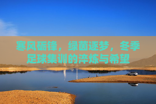 寒风砺锋，绿茵逐梦，冬季足球集训的淬炼与希望