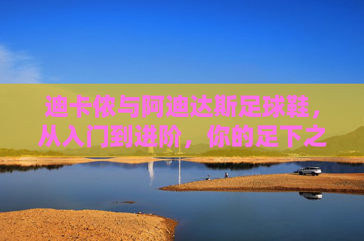 迪卡侬与阿迪达斯足球鞋，从入门到进阶，你的足下之选，迪卡侬与阿迪达斯足球鞋，从入门到进阶的足下之选