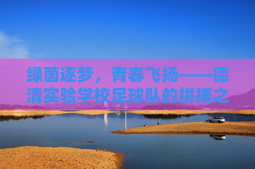 绿茵逐梦，青春飞扬——德清实验学校足球队的拼搏之路，绿茵逐梦，青春飞扬——德清实验足球队拼搏之路
