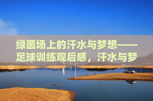 绿茵场上的汗水与梦想——足球训练观后感，汗水与梦想，绿茵场足球训练观后感