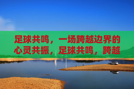 足球共鸣，一场跨越边界的心灵共振，足球共鸣，跨越边界的心灵共振