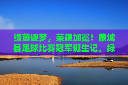 绿茵逐梦，荣耀加冕！蒙城县足球比赛冠军诞生记，绿茵逐梦，蒙城县足球冠军荣耀加冕