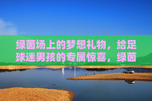 绿茵场上的梦想礼物，给足球迷男孩的专属惊喜，绿茵场上的梦想礼物，足球迷男孩专属惊喜