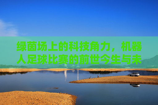 绿茵场上的科技角力，机器人足球比赛的前世今生与未来展望