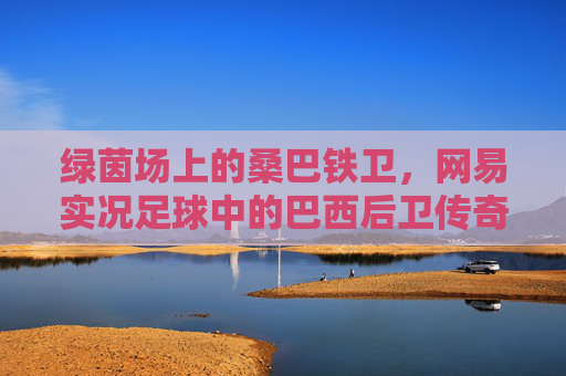 绿茵场上的桑巴铁卫，网易实况足球中的巴西后卫传奇