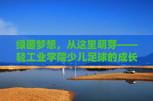 绿茵梦想，从这里萌芽——轻工业学院少儿足球的成长与热爱，轻工业学院少儿足球，绿茵梦想的成长与热爱