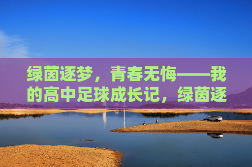 绿茵逐梦，青春无悔——我的高中足球成长记，绿茵逐梦，青春无悔