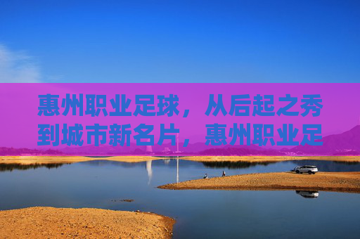 惠州职业足球，从后起之秀到城市新名片，惠州职业足球，从后起之秀到城市新名片