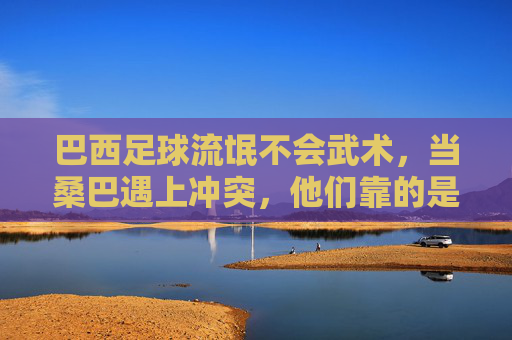 巴西足球流氓不会武术，当桑巴遇上冲突，他们靠的是喉咙而非拳头，巴西足球流氓，靠喉咙，不靠拳