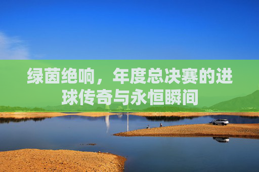 绿茵绝响，年度总决赛的进球传奇与永恒瞬间