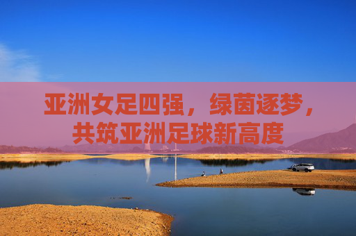 亚洲女足四强，绿茵逐梦，共筑亚洲足球新高度