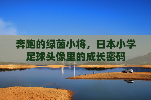 奔跑的绿茵小将，日本小学足球头像里的成长密码