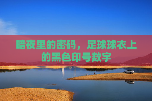 暗夜里的密码，足球球衣上的黑色印号数字