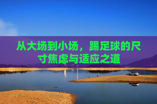 从大场到小场，踢足球的尺寸焦虑与适应之道