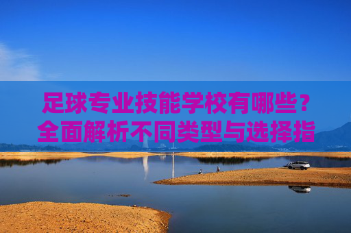 足球专业技能学校有哪些？全面解析不同类型与选择指南