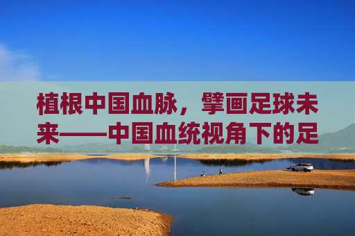 植根中国血脉，擘画足球未来——中国血统视角下的足球发展新路径